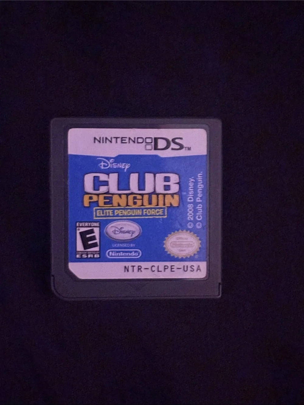Nintendo DS games